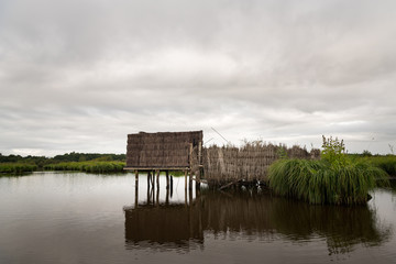 wetland in the natural park of saint lyphard