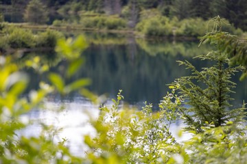 Gold Creek Pond