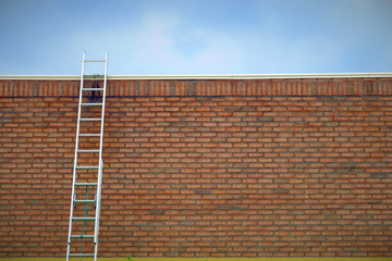 successful business solution ladder over wall finance freedom