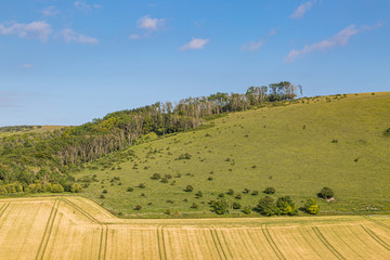 The view from Firle Beacon, on a sunny summers evening