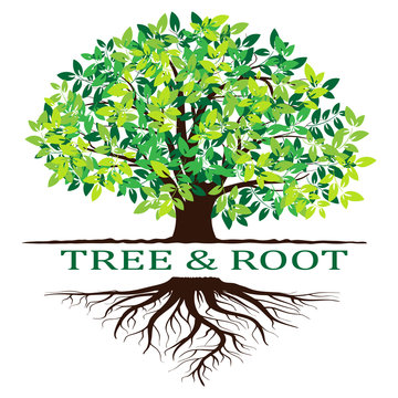 Free Free 53 Family Tree With Roots Svg Free SVG PNG EPS DXF File