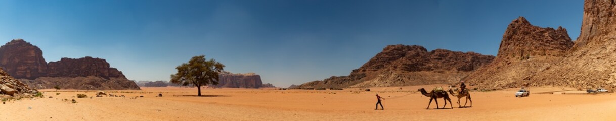 Fototapeta na wymiar Wadi Rum V