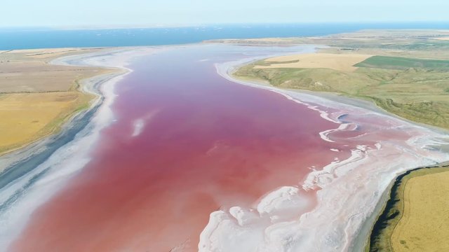 Breathtaking aerial view of unusual pink lake surrounded by green meadows, colors of nature. Shot. Natural reservoir full of algae with red pigments.