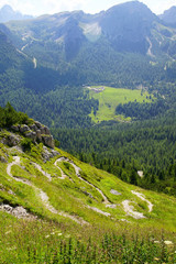 Steep winding trail up mountainside