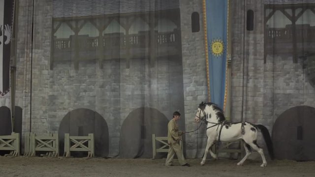 circus school, horse