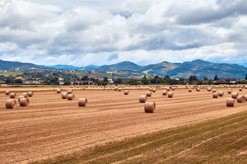 europe, nature, Italy