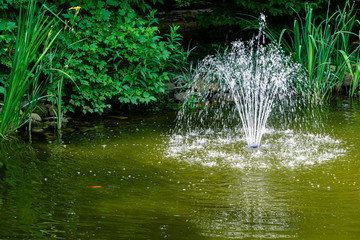 Magic pond with cascade fountain. Jets of water fall on emerald surface of pond in shade of plants growing along coast. Freshness and coolness on sunny day. Nature concept for design.