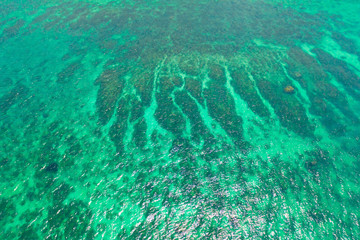 Tropical sea details, blue water in daylight. wallpaper of clear blue tropical sea water with rocks under surface