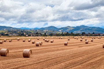 europe, nature, Italy