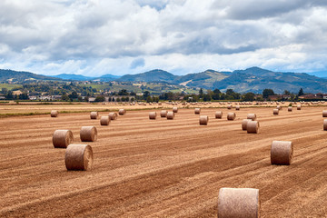 europe, nature, Italy