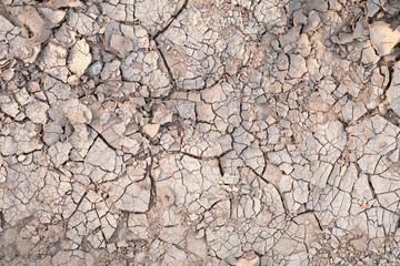 The texture of the earth during drought. View from the top.
