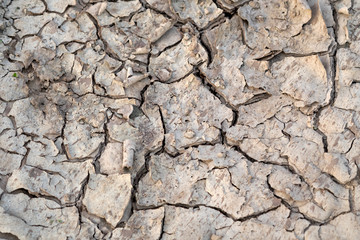 Deep cracks in the land. The texture of the earth during drought. View from the top.