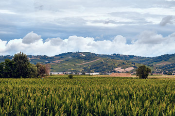 europe, nature, Italy