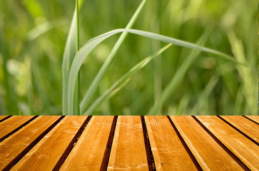 wooden shelf store with nature background