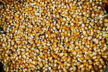 Overhead background view of healthy dried corn or maize kernels. Agriculture product taken at market in Izmir, Turkey.