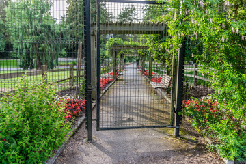 Garden Gate And Walkway
