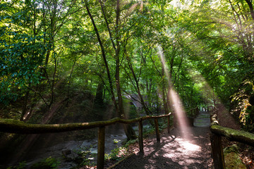 Morning sun flare light at Bigar Waterfall,Caras-Severin,Romania