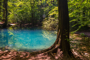 Ochiul Beiului,emerald lake on the Cheile Nerei-Beusnita National Park,Caras-Severin,Romania