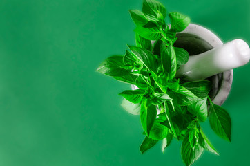 Fresh green basil in a white marble mortar on the table