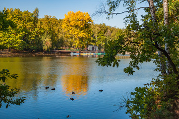 Fototapeta premium The lake, ducks and trees in the forest on the shore. Sunny, autumn day over a lake.