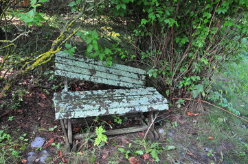 Oldness: bench in the garden