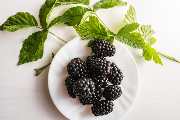 close of fresh organic summer ripe blackberries fileld frame room for text 