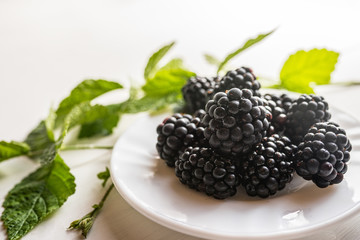 close of fresh organic summer ripe blackberries fileld frame room for text 