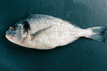 Top view of raw gilthead on the black slate