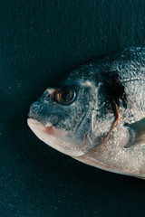 Head of uncooked gilthead on dark surface