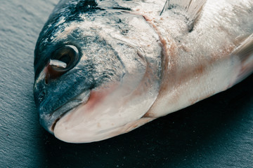 Fresh raw sea bream head close up photo