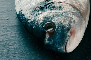 Clean raw fish head on dark surface
