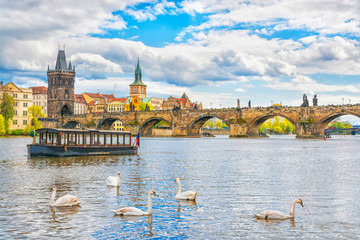 View on Charles bridge and swans on Vltava river in Prague at sunset, Czech Republic