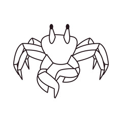crab wildlife on white background