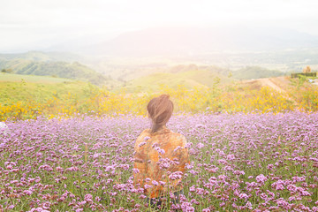 Fototapeta premium Asian tourists are standing to admire the beauty of flowers in the mountain gardens at Phetchabun province , Thailand.Travel with family cancept.