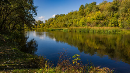 Autumn deciduous forest, water river and the river bank on a sunny day. Amazing landscape.