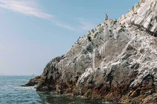 Pelicans on rock formation, Islas Ballestas, Paracas