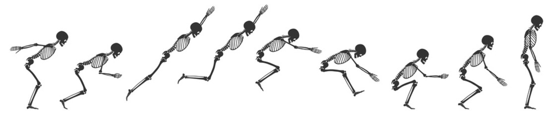 Human skeleton is jumping. Nine phases of a jump of a black human skeleton isolated on a white background. Vector illustration in flat style.