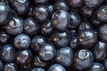 close up of heap of bilberries
