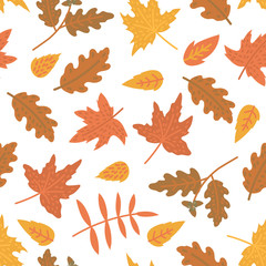 Pattern from autumn leaves