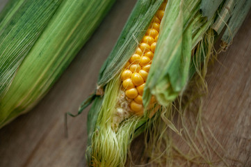 Fresh sweet corn on wooden table. Rustic style.