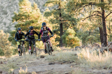 Group of mountain bikers riding on forest trail