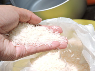 White Rice falling down. Jasmine Rice, Thai Rice, Raw Rice, Agriculture.