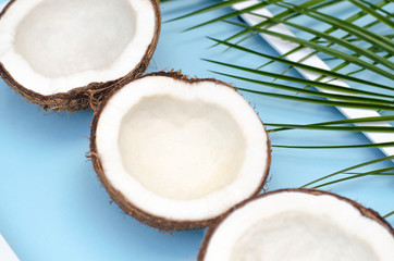 Pieces of coconut on a blue background with palm branches.
