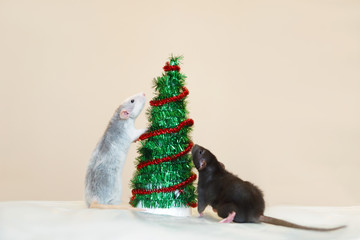 two rats are standing near the little Christmas tree. Dambo rats adorn the Christmas tree. The symbol of the Chinese New Year 2020. Horoscope
