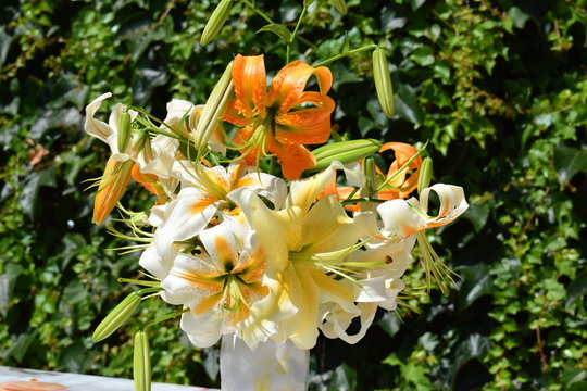 Bouquet de lys Lady Alice et henryi
