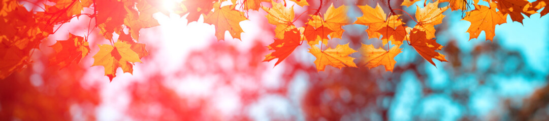 Naklejka na ściany i meble Banner autumn background