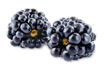Blackberry on a white isolated background