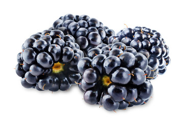 Blackberry on a white isolated background