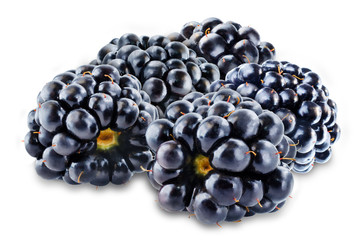 Blackberry on a white isolated background