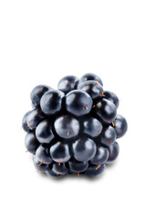 Blackberry on a white isolated background